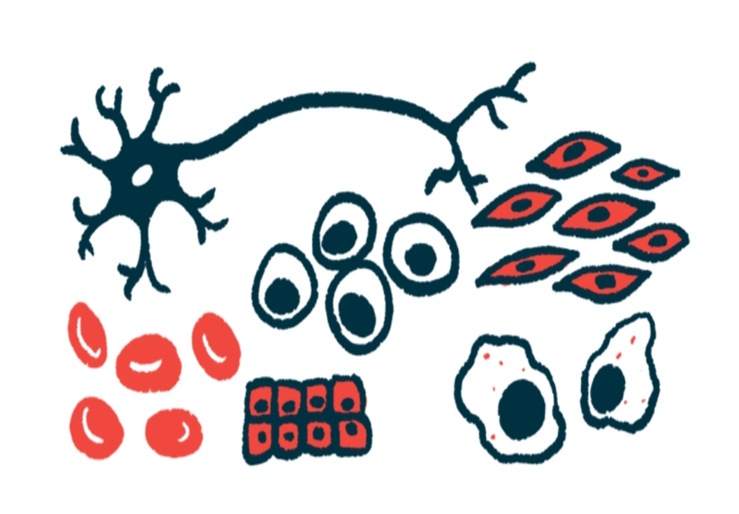 نوآوری، رده های سلول های بنیادی را برای تحقیقات در سراسر دنیا در دسترس قرار داده است